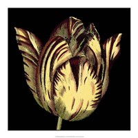 Dramatic Blooms V Fine Art Print