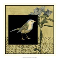 Bird Fantasy I Framed Print
