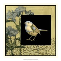 Bird Fantasy II Framed Print