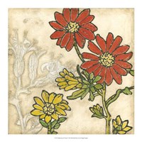 Indian Summer Florals I Fine Art Print