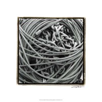 Heavy Metal II Fine Art Print