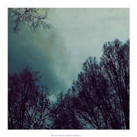 Nocturne I Fine Art Print