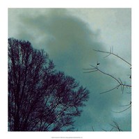 Nocturne II Fine Art Print