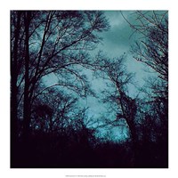 Nocturne IV Fine Art Print