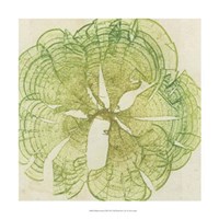Brilliant Seaweed VIII Fine Art Print