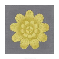 Gilded Rosette III Fine Art Print