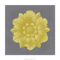 Gilded Rosette IV Fine Art Print