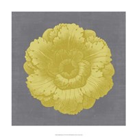 Gilded Rosette VI Fine Art Print