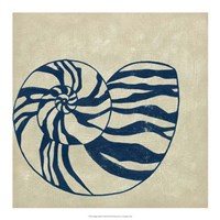 Indigo Shell II Fine Art Print
