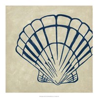 Indigo Shell III Fine Art Print