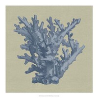 Chambray Coral I Fine Art Print