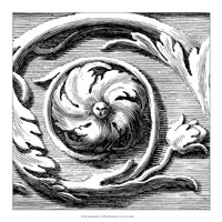 Sculptural Detail V Fine Art Print