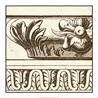 Sepia Detail IV Fine Art Print