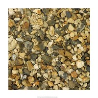 Nature's Textures II Fine Art Print