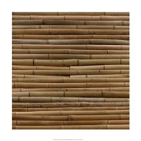 Nature's Textures IV Fine Art Print