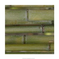 Nature's Textures V Fine Art Print