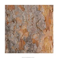 Nature's Textures VII Fine Art Print