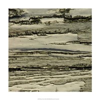 Nature's Textures VIII Fine Art Print