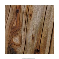 Nature's Textures IX Fine Art Print