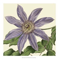 Tropical Vision III Fine Art Print