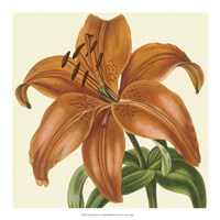 Tropical Vision IV Fine Art Print