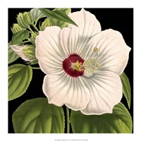 Dramatic Tropical Vision I Fine Art Print