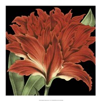 Dramatic Tropical Vision V Fine Art Print