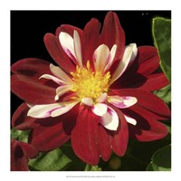 Summer Evening III Fine Art Print