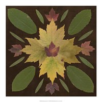 Kaleidoscope Leaves IV by Vision Studio - 18" x 18"