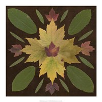 Kaleidoscope Leaves IV Fine Art Print