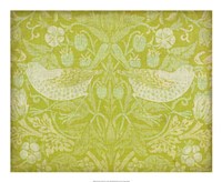 Citrus Chintz II Framed Print