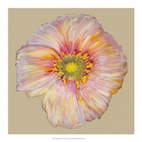 Poppy Blossom I Fine Art Print