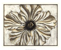 Fresco Flowerhead I Fine Art Print