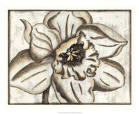 Fresco Flowerhead V Fine Art Print