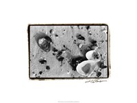 Sand Treasures I Fine Art Print