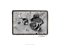 Sand Treasures II Fine Art Print