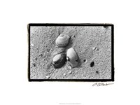 Sand Treasures V Fine Art Print