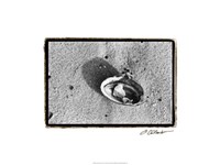 Sand Treasures VI Fine Art Print