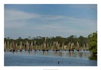 Safe Harbor VI Fine Art Print