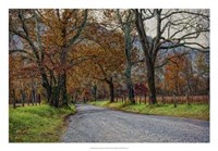 Morning on Sparks Lane I Fine Art Print