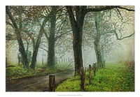 Morning on Sparks Lane IV Fine Art Print