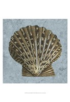 Stonewashed Shells IV Fine Art Print