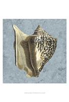 Stonewashed Shells VI Fine Art Print