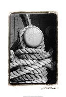 Tied Up II Fine Art Print