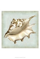 Sea Dream Shells IV Fine Art Print
