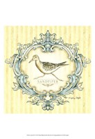 Coastal Life IV Fine Art Print