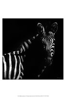 Wildlife Scratchboards IV Fine Art Print