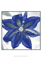 Indigo Star I Fine Art Print