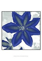 Indigo Star II Fine Art Print