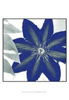 Indigo Star III Fine Art Print